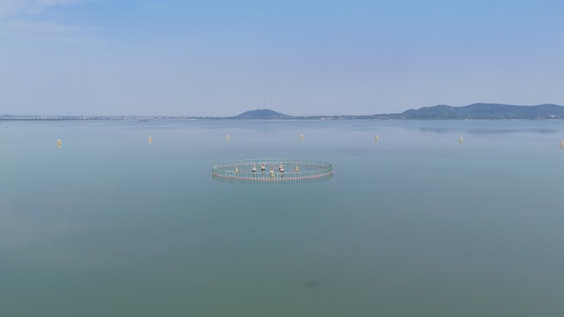 固城湖水源地规范化建设工程圆满完工